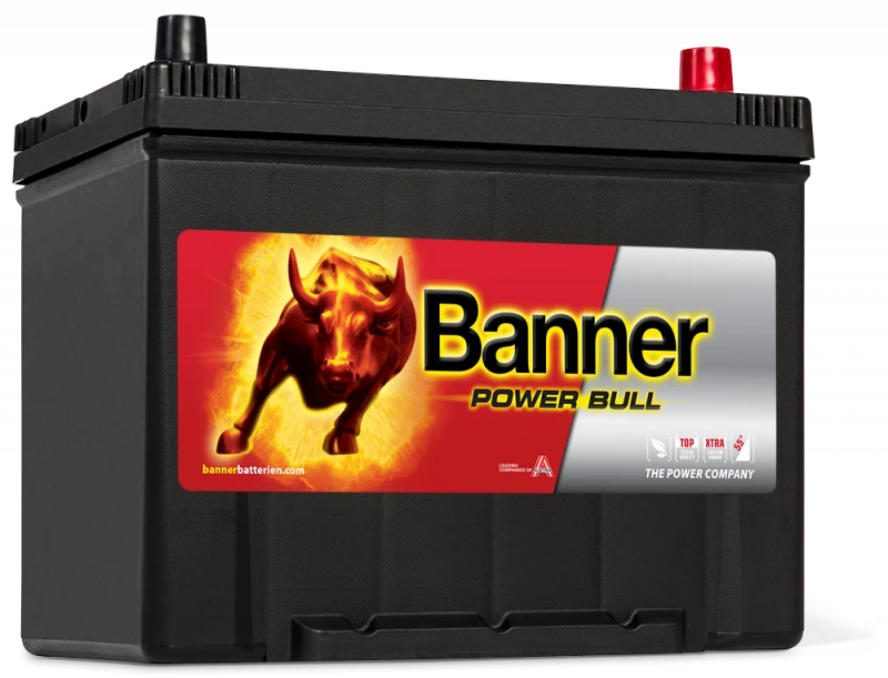 Banner P7029 70 Ah – 12 V, 600 A (EN)