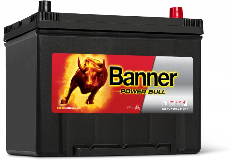 Banner P8009 80 Ah – 12 V, 640 A (EN)