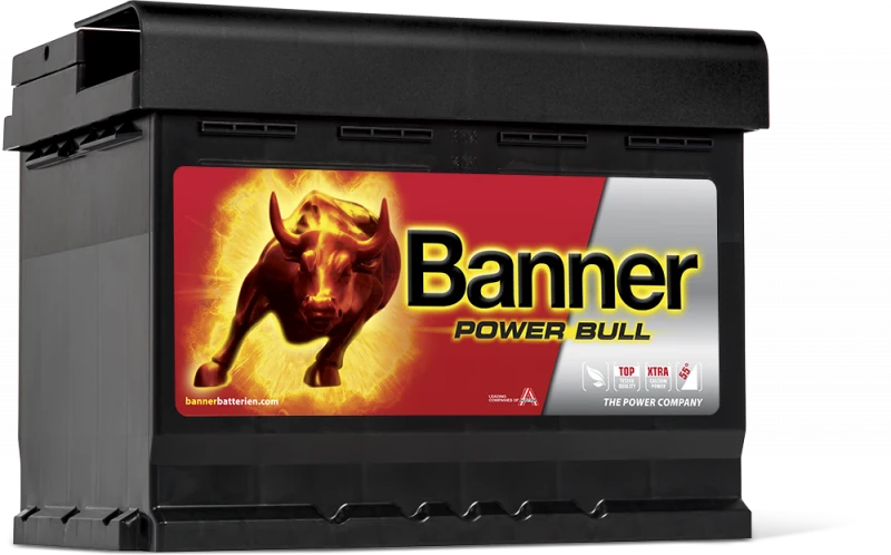 Banner Power Bull P6009 60 Ah – 12 V, 540 A (EN)